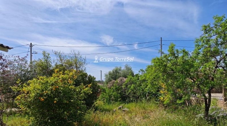 Tarragona - la Joncosa del Montmell - 624m2