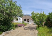 Chalet independiente con terreno en venta en la España, la Joncosa del Montmell, ref: TR411213 foto