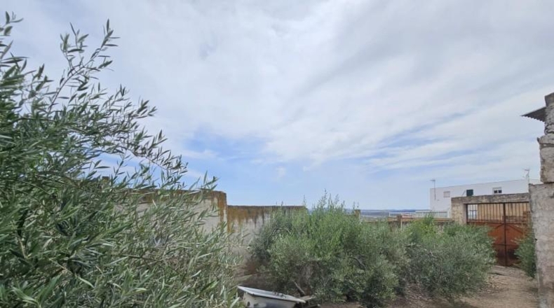 Sevilla - Osuna - 482m2