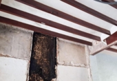 Casa de poble en venda a la España, Miramar, ref.: TR411210 foto