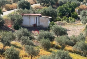 Pizarra 8000&nbsp;m² 