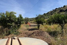 Pizarra 8000&nbsp;m² 