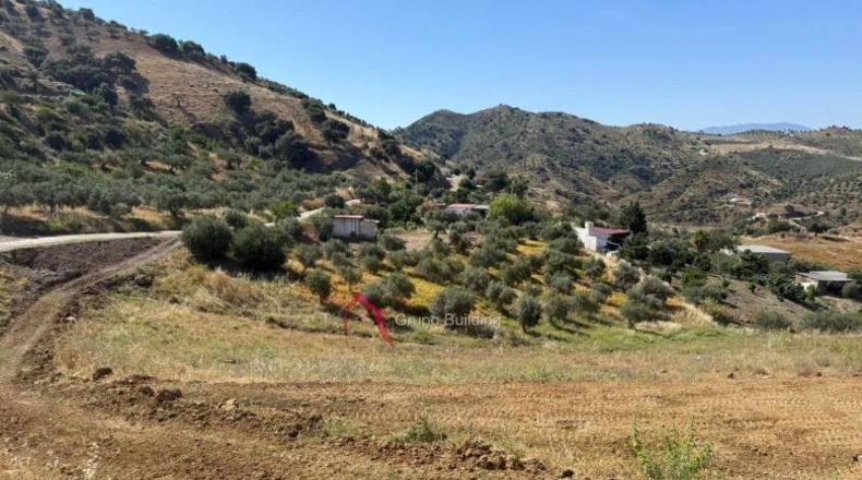 Малага - Pizarra - 8000m2