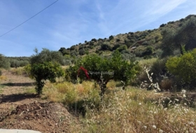 Pizarra 8000&nbsp;m² 