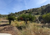 Casa de camp amb terreny en venda a la España, Pizarra, ref.: TR411215 foto