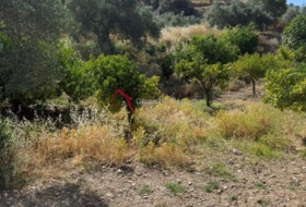 Pizarra 8000&nbsp;m² 