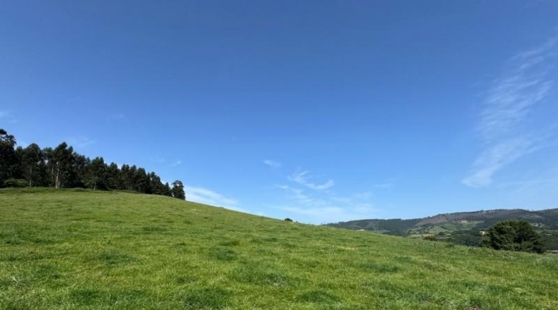 Asturias - Gijón - 45000m2