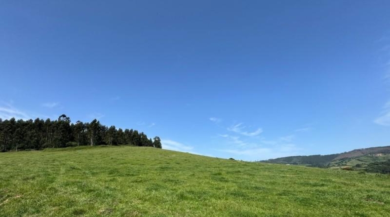 Asturias - Gijón - 45000m2