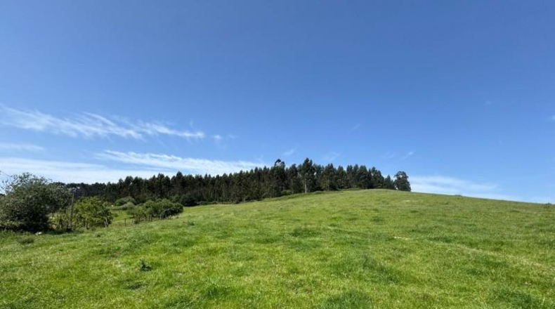 Asturias - Gijón - 45000m2