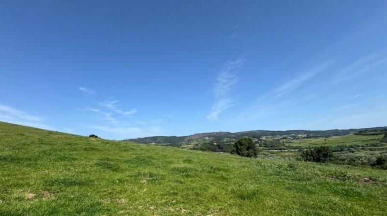 Asturias - Gijón - 45000m2