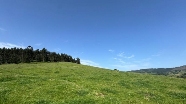 Asturias - Gijón - 45000m2