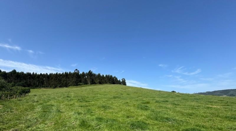 Asturias - Gijón - 45000m2
