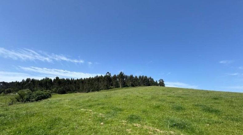 Asturias - Gijón - 45000m2