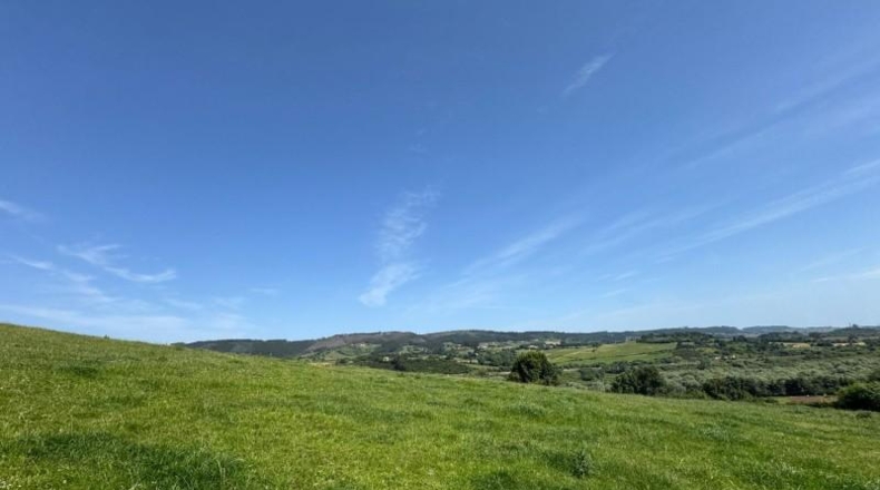 Asturias - Gijón - 45000m2