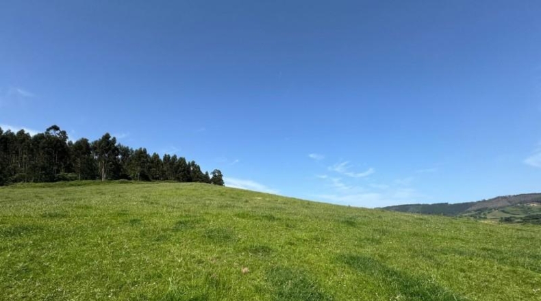 Asturias - Gijón - 45000m2
