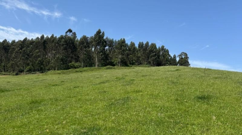 Asturias - Gijón - 45000m2