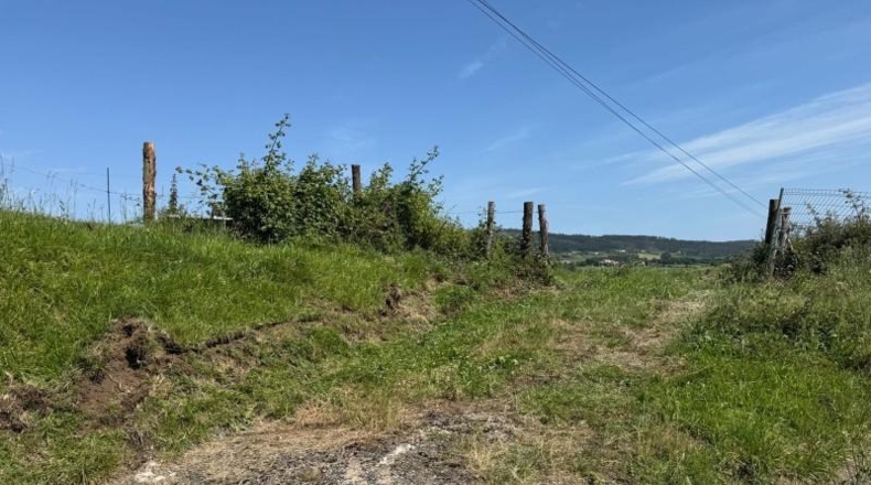 Asturias - Gijón - 45000m2