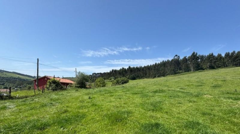Asturias - Gijón - 45000m2