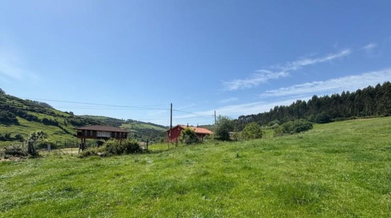 Asturias - Gijón - 45000m2