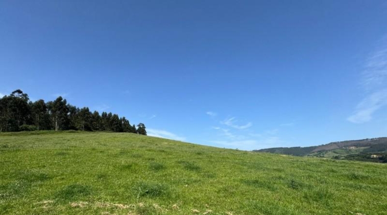 Asturias - Gijón - 45000m2