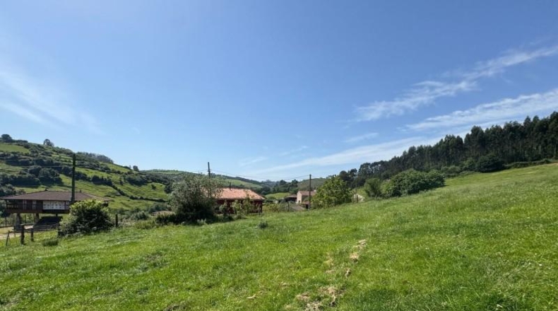 Asturias - Gijón - 45000m2