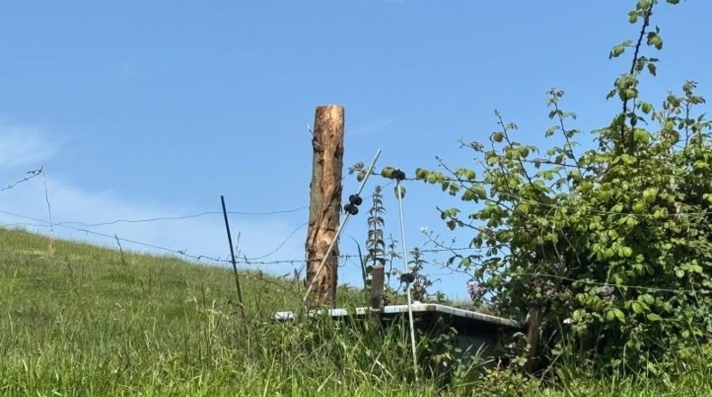 Asturias - Gijón - 45000m2