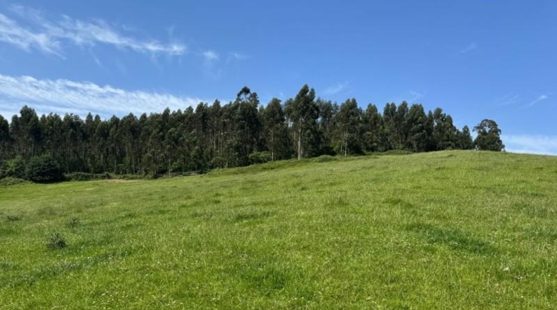 Asturias - Gijón - 45000m2