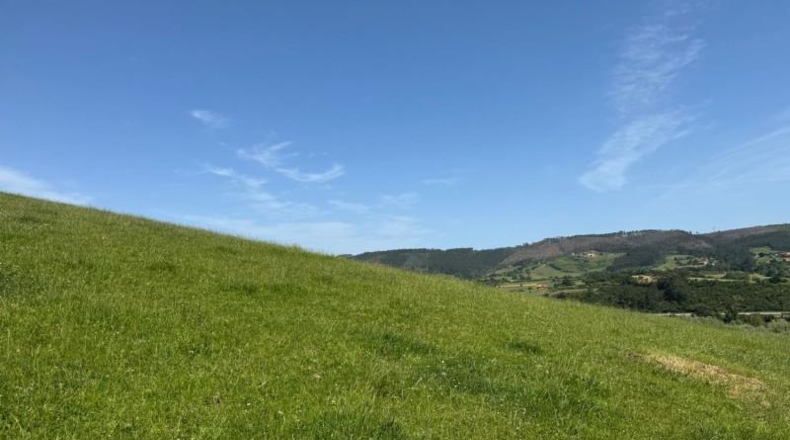Asturias - Gijón - 45000m2