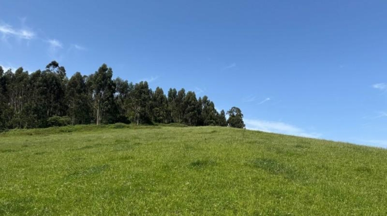 Asturias - Gijón - 45000m2