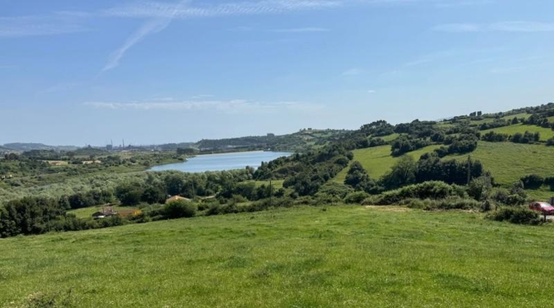 Asturias - Gijón - 45000m2