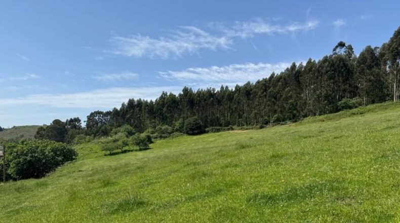 Asturias - Gijón - 45000m2