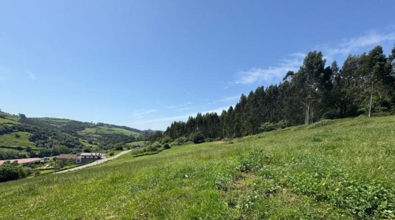 Asturias - Gijón - 45000m2