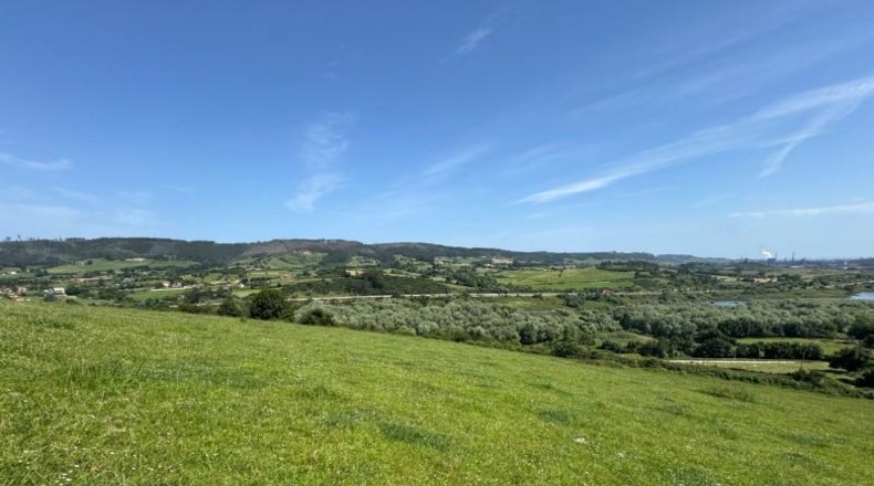 Asturias - Gijón - 45000m2