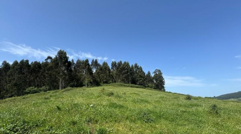 Asturias - Gijón - 45000m2