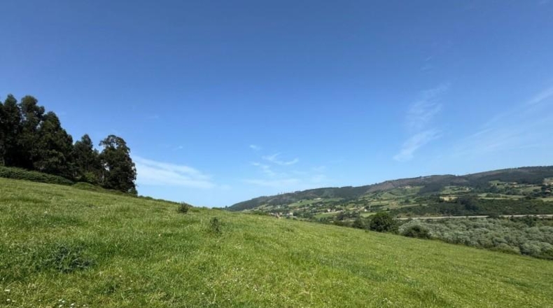 Asturias - Gijón - 45000m2