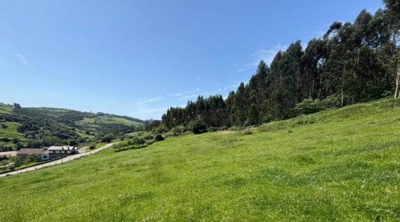 Asturias - Gijón - 45000m2