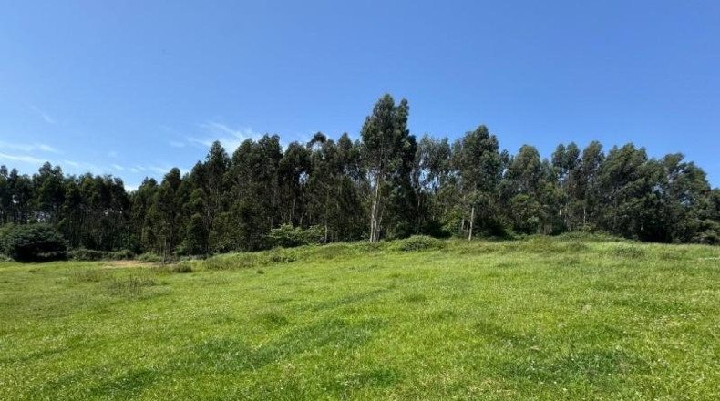 Asturias - Gijón - 45000m2