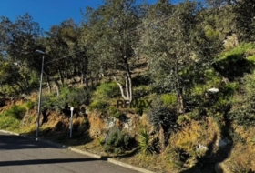 Calonge 814&nbsp;m²
