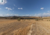 Non-developable land for sale on España, Villa de Otura, ref: TR246880 photo