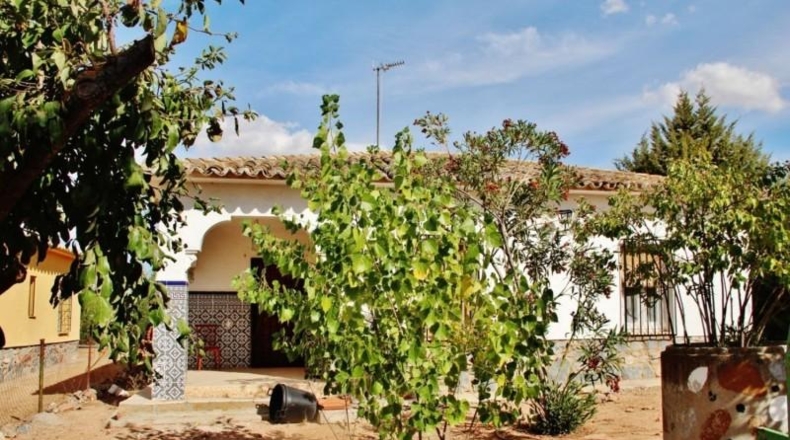 Toledo - Villafranca de los Caballeros - 340m2
