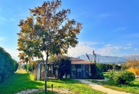 Xerta 1332&nbsp;м²