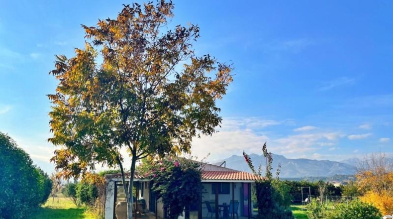 Tarragona - Xerta - 1332m2