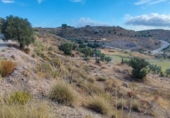 Suelo urbano en venta en la España, Antequera, ref: TR411217 foto