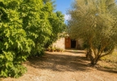 Chalet independiente con terreno en venta en la España, Dolores, ref: TR411223 foto