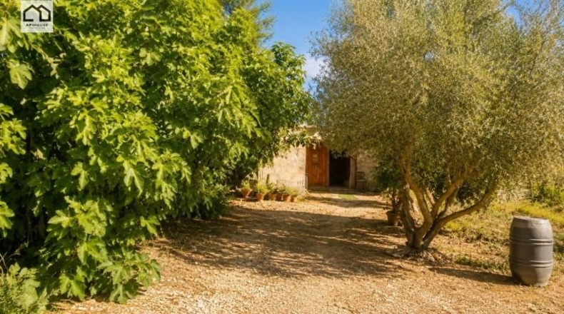 Alicante - Dolores - 10600m2