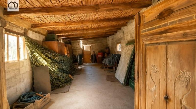 Alicante - Dolores - 10600m2