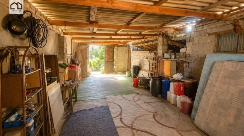 Alicante - Dolores - 10600m2