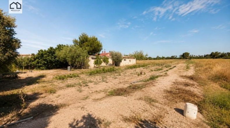 Alicante - Dolores - 10600m2
