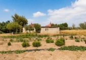 Chalet independiente con terreno en venta en la España, Dolores, ref: TR411223 foto
