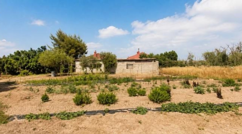Alicante - Dolores - 10600m2